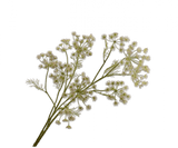 Fleur artificielle Branche d'Aneth Rose | 140 cm