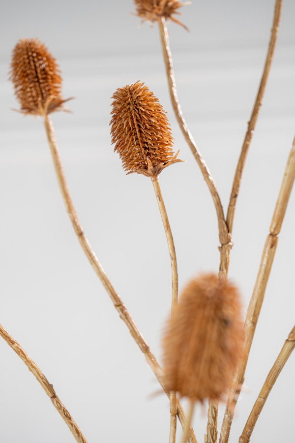 Kunstbloem Distel Tak Bruin | 111 cm - NU PUUR &amp; GROEN