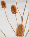 Kunstbloem Distel Tak Bruin | 111 cm - NU PUUR & GROEN