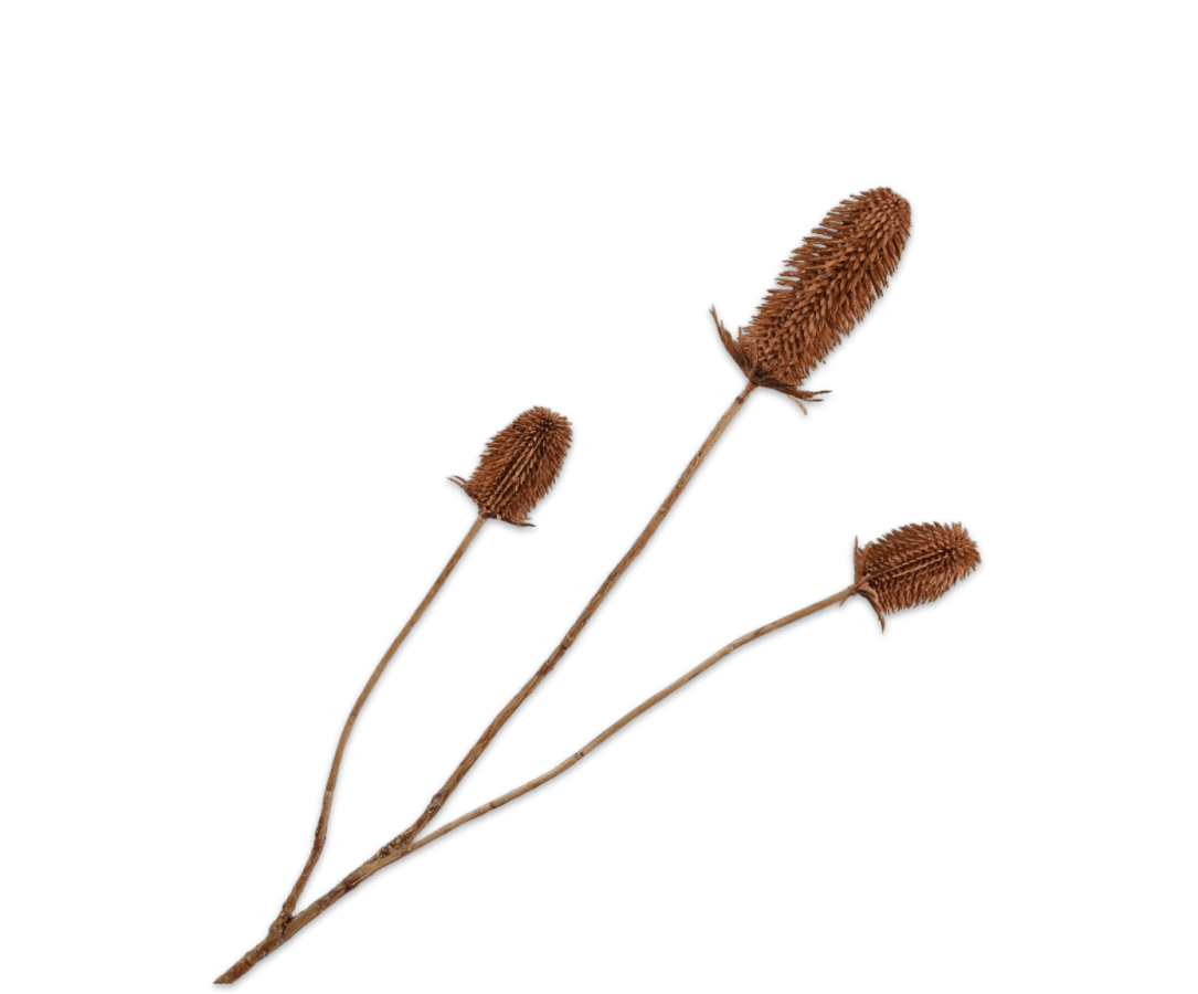 Kunstbloem Distel Tak Bruin | 111 cm - NU PUUR &amp; GROEN
