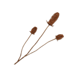 Kunstbloem Distel Tak Bruin | 111 cm