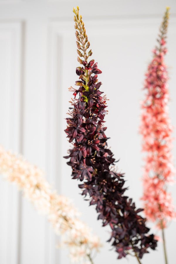 Kunstbloem Eremurus Steel Bordeaux | 109 cm - NU PUUR &amp; GROEN
