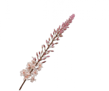 Kunstbloem Eremurus Steel Creme  | 107 cm