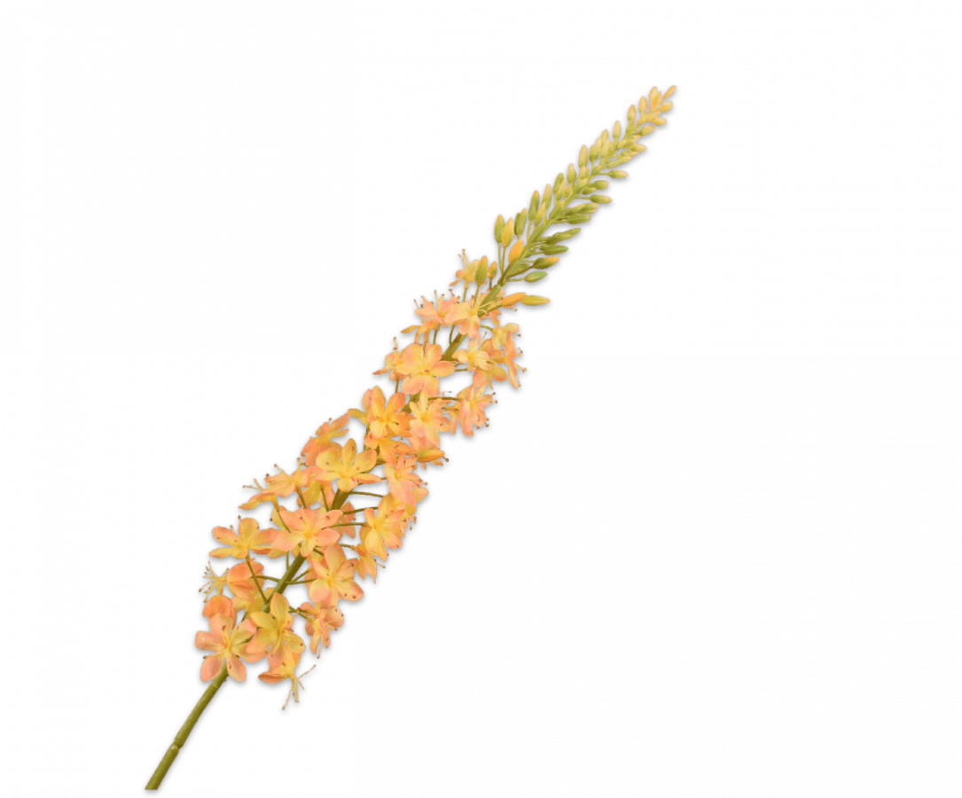 Kunstbloem Eremurus Steel Geel | 107 cm - NU PUUR & GROEN