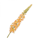 Kunstbloem Eremurus Steel Geel | 107 cm
