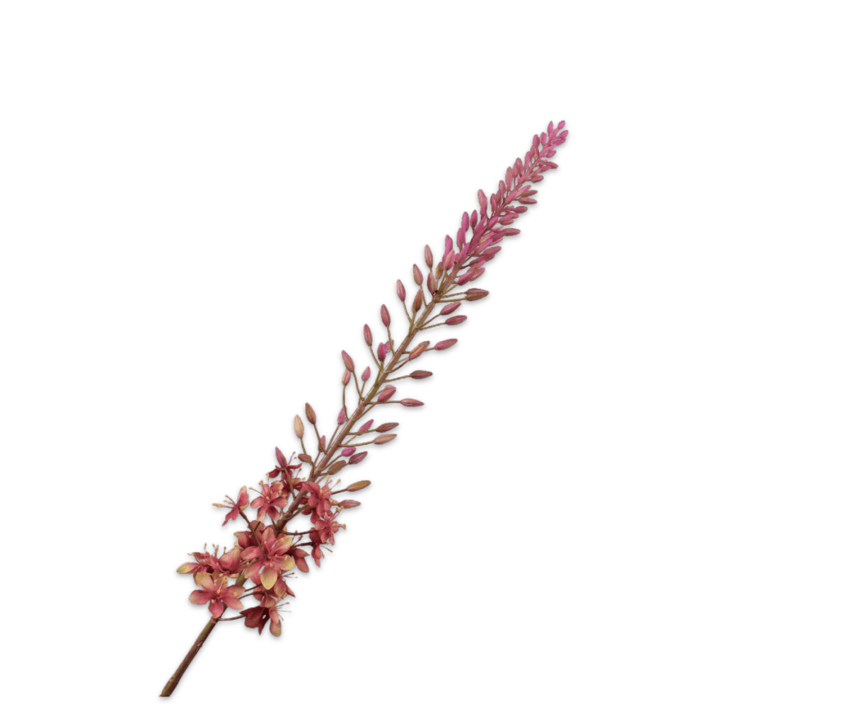 Kunstbloem Eremurus Steel Groen/Mauve | 107 cm - NU PUUR & GROEN