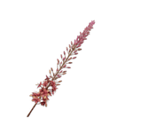 Kunstbloem Eremurus Steel Groen/Mauve | 107 cm