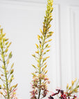 Kunstbloem Eremurus Steel Paars/Groen | 107 cm - NU PUUR & GROEN