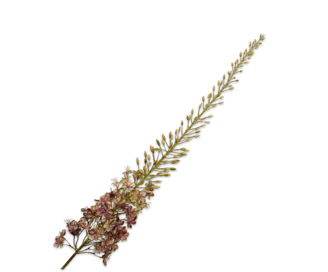 Kunstbloem Eremurus Steel Paars/Groen | 149 cm - NU PUUR &amp; GROEN