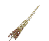 Kunstbloem Eremurus Steel Paars/Groen | 149 cm