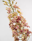 Kunstbloem Eremurus Steel Paars/Groen | 149 cm - NU PUUR & GROEN