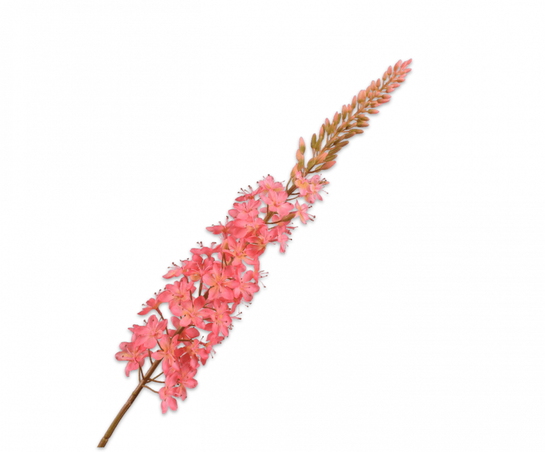 Kunstbloem Eremurus Steel Roze | 107 cm - NU PUUR & GROEN