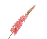 Fleur artificielle Eremurus Acier rose | 107 cm