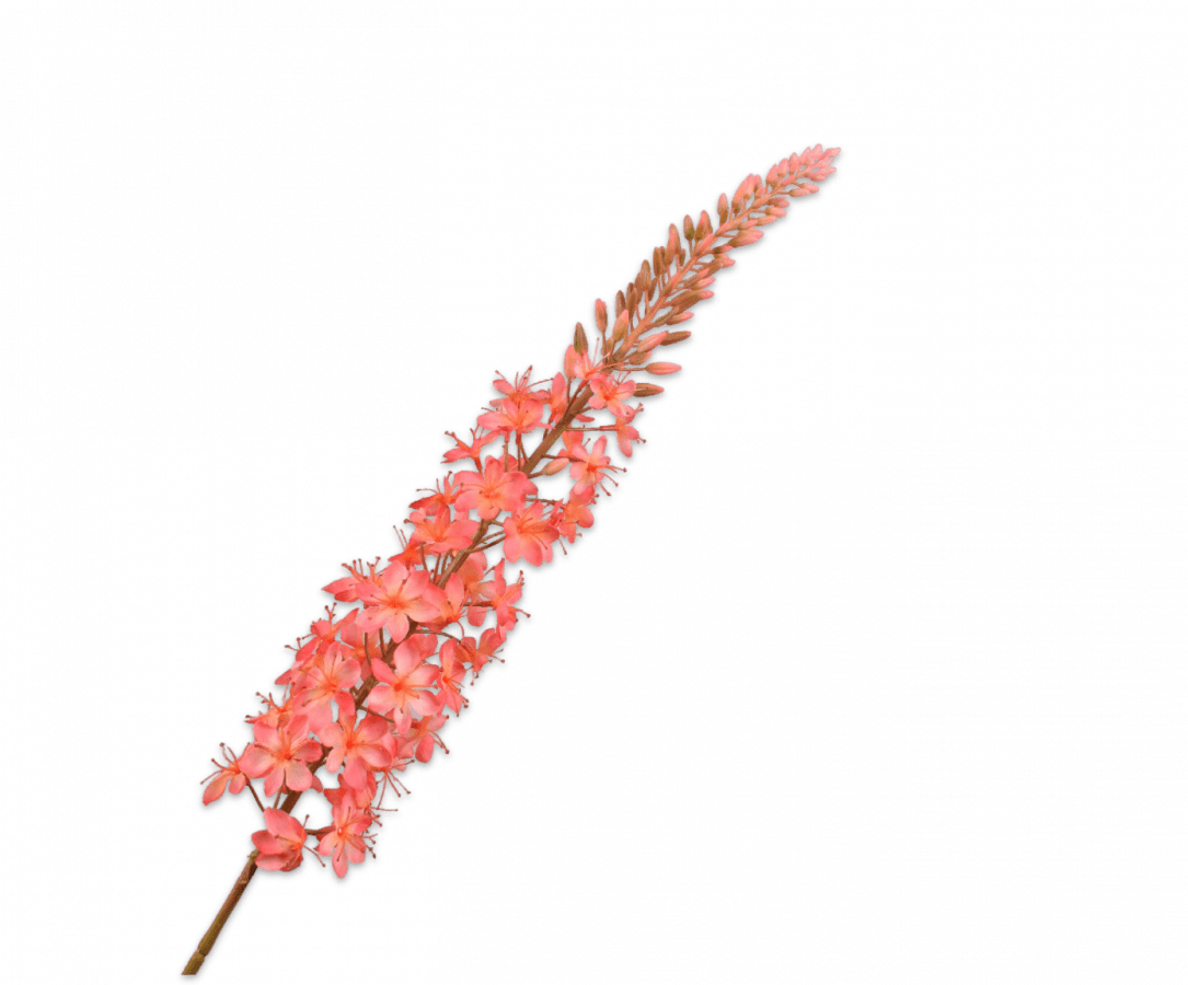 Kunstbloem Eremurus Steel Zalm | 107 cm - NU PUUR & GROEN