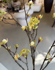 Kunstbloem Esdoorn Tak Geel | 110 cm - NU PUUR & GROEN