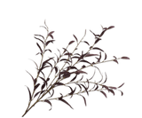 Kunstbloem Eucalyptus Tak Bordeaux | 123 cm