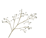 Artificial Flower Eucalyptus Branch Green/Brown | 115 cm
