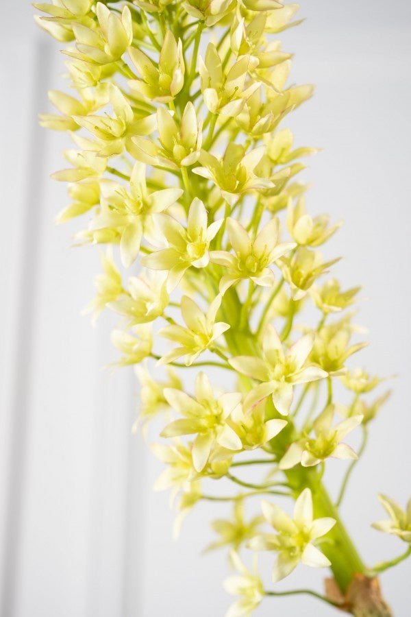 Kunstbloem Eucomis Tak Groen | 106 cm - NU PUUR & GROEN