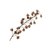 Kunstbloem Fritillaria Steel Bruin/Groen | 111 cm