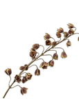 Kunstbloem Fritillaria Steel Bruin/Groen | 111 cm - NU PUUR & GROEN