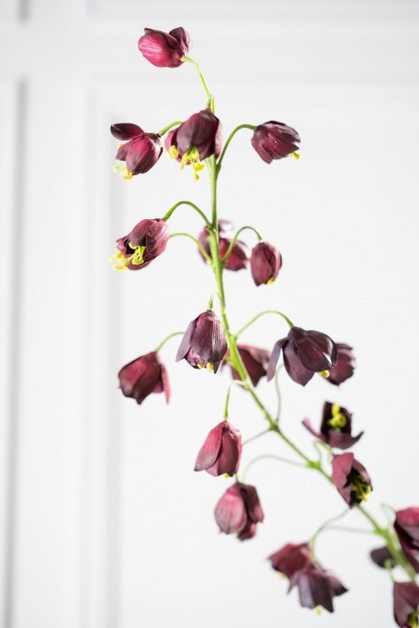 Kunstbloem Fritillaria Tak Bordeaux | 111 cm - NU PUUR & GROEN