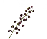 Kunstbloem Fritillaria Tak Bordeaux | 111 cm