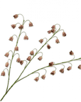 Kunstbloem Fritillaria Tak Bordeaux/Groen | 97 cm - NU PUUR & GROEN