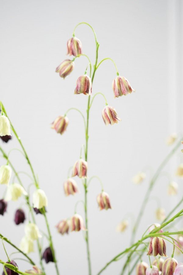 Kunstbloem Fritillaria Tak Bordeaux/Groen | 97 cm - NU PUUR & GROEN