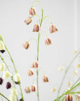 Kunstbloem Fritillaria Tak Bordeaux/Groen | 97 cm - NU PUUR & GROEN