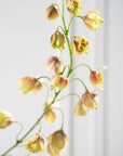 Kunstbloem Fritillaria Tak Bruin/Groen | 111 cm - NU PUUR & GROEN