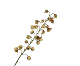 Kunstbloem Fritillaria Tak Bruin/Groen | 111 cm