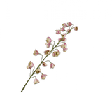 Kunstbloem Fritillaria Tak Creme/Roze | 111 cm