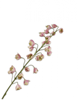 Kunstbloem Fritillaria Tak Creme/Roze | 111 cm - NU PUUR & GROEN