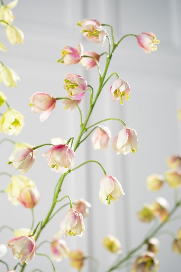 Kunstbloem Fritillaria Tak Creme/Roze | 111 cm - NU PUUR & GROEN
