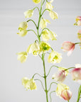 Kunstbloem Fritillaria Tak Groen | 111 cm - NU PUUR & GROEN