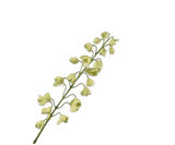 Kunstbloem Fritillaria Tak Groen | 111 cm