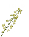 Kunstbloem Fritillaria Tak Groen | 111 cm - NU PUUR & GROEN