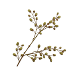 Kunstbloem Fruittak Kiwi Bruin / Groen | 102 cm