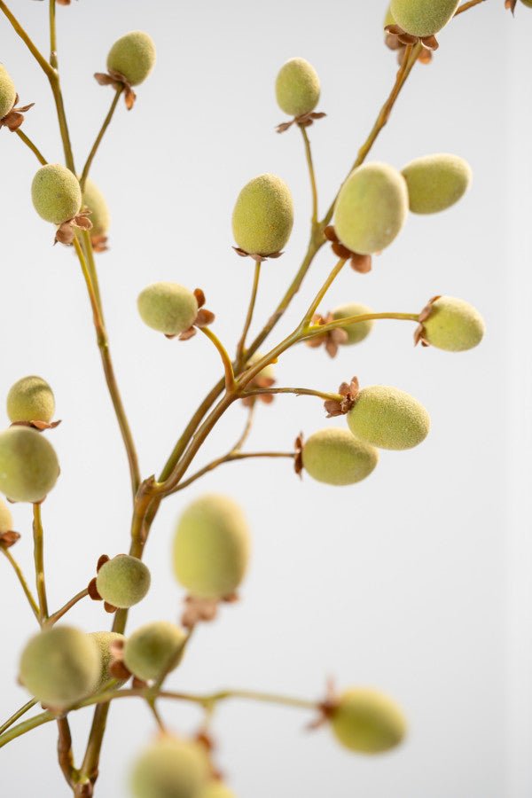 Kunstbloem Fruittak Kiwi Bruin / Groen | 102 cm - NU PUUR &amp; GROEN