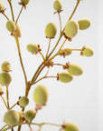Kunstbloem Fruittak Kiwi Bruin / Groen | 102 cm - NU PUUR & GROEN