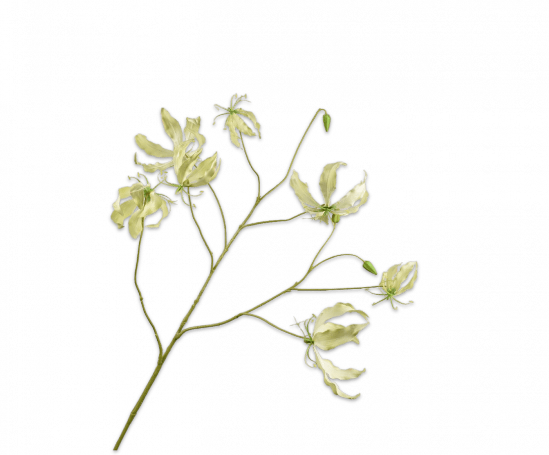 Kunstbloem Gloriosa Tak Groen | 110 cm - NU PUUR &amp; GROEN