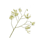 Kunstblume Gloriosa Zweig Grün | 110 cm