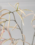 Kunstbloem Gras Tak Creme/Roze | 131 cm - NU PUUR & GROEN