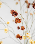 Kunstbloem Hop Tak Bruin | 109 cm - NU PUUR & GROEN