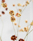 Kunstbloem Hop Tak Bruin/Groen | 109 cm - NU PUUR & GROEN