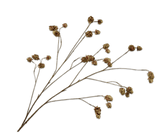 Kunstblume Hopfen Ast Braun/Grün | 109 cm