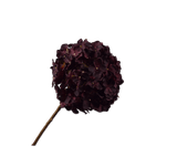 Kunstbloem Hortensia Steel Bordeaux | 70 cm