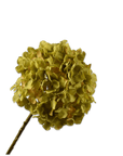 Kunstbloem Hortensia Steel Groen | 70 cm - NU PUUR & GROEN