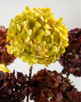 Kunstbloem Hortensia Steel Groen | 70 cm - NU PUUR & GROEN