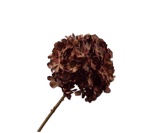 Kunstbloem Hortensia Steel Rood/Bruin | 70 cm